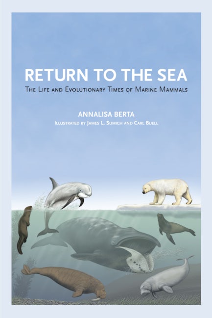 Book cover image for Return to the Sea ISBN: 9780520355521